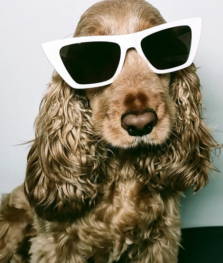 Elda - Mascotte di Ottica Ventuno, Torino